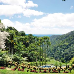 Jardin de Balata - Beyondthebeach.fr (1)
