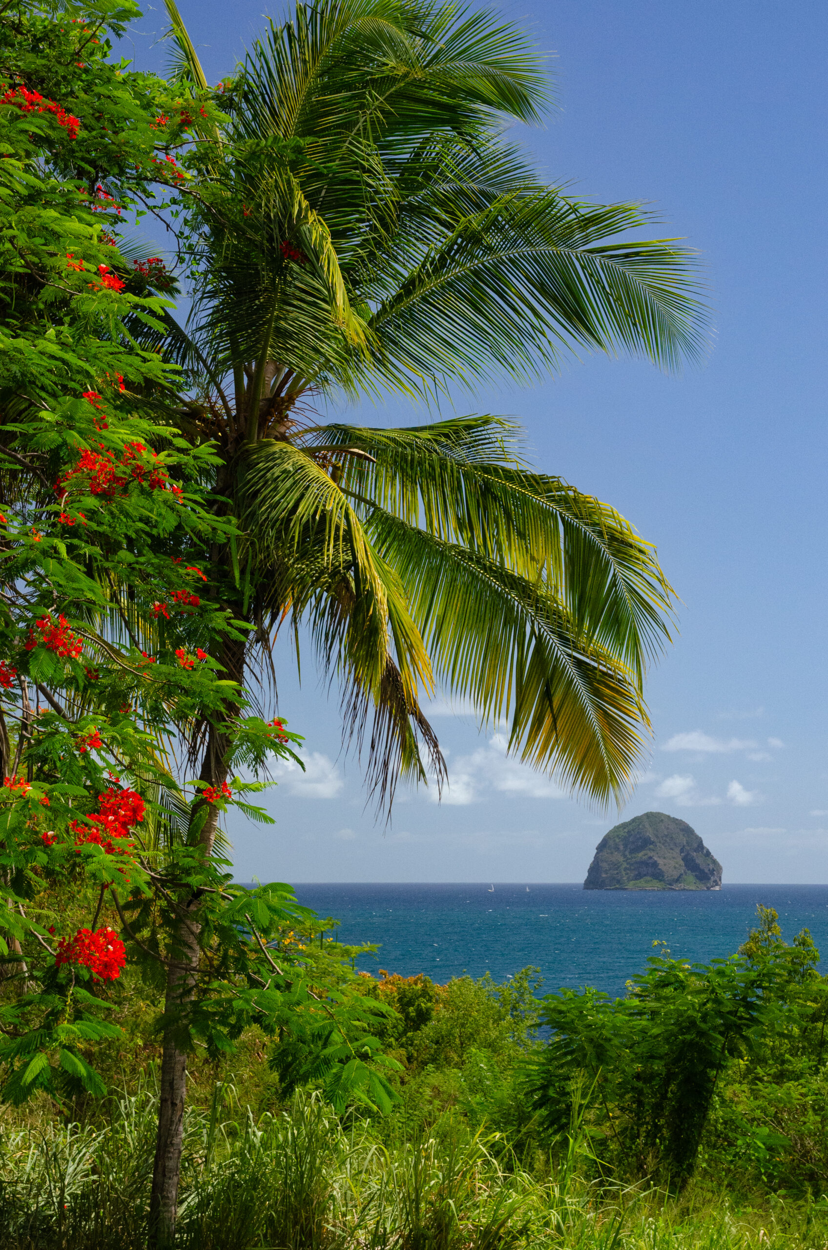 Authentic southern tour of Martinique
