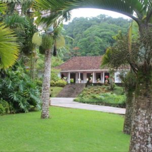 balata-garden-beyondthebeach.fr (2)