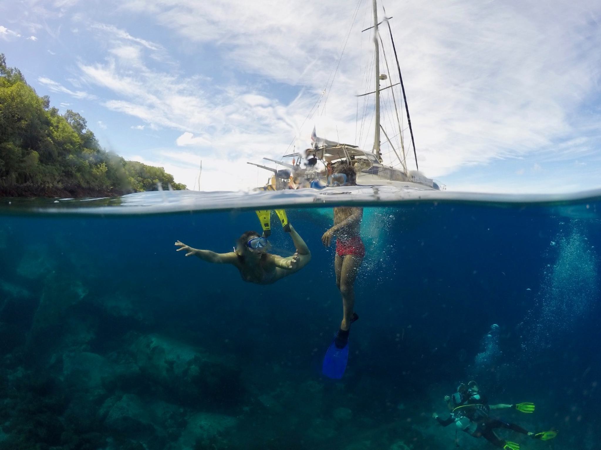 THE 5 BEST Martinique Scuba Diving & Snorkeling (Updated 2024)