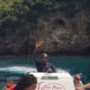 dolphins in Martinique