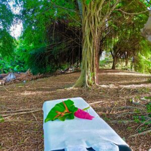Massage en nature www.beyondthebeach (7)