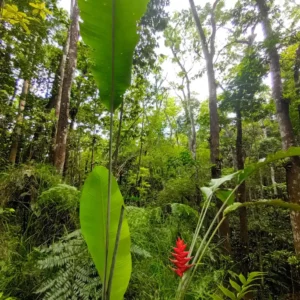 Massage-en-nature-www.beyondthebeach-1