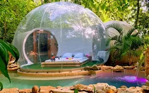 Bulle accueil