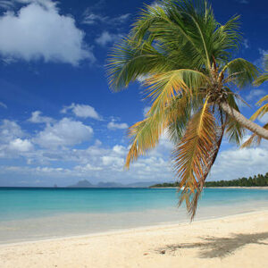 Caribbean landscapes in the town of Saint-Anne
