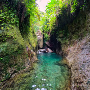 Through the Martinican rain forest