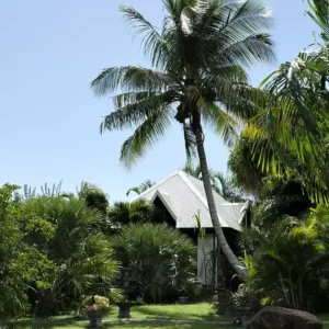 Le domaine