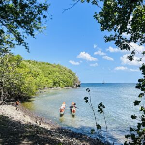 Pirogue en Martinique avec Nicolas (13)