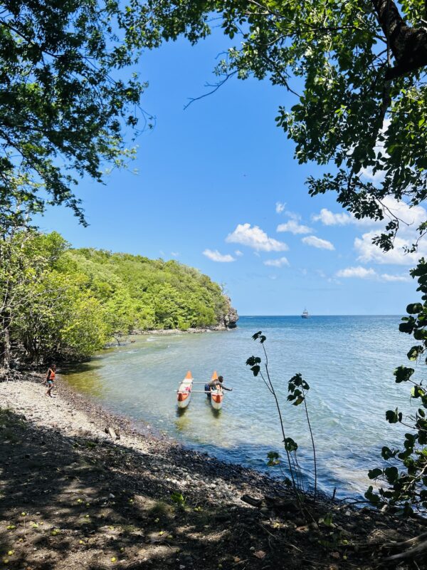 Dugout canoe trip in Martinique - Image 10