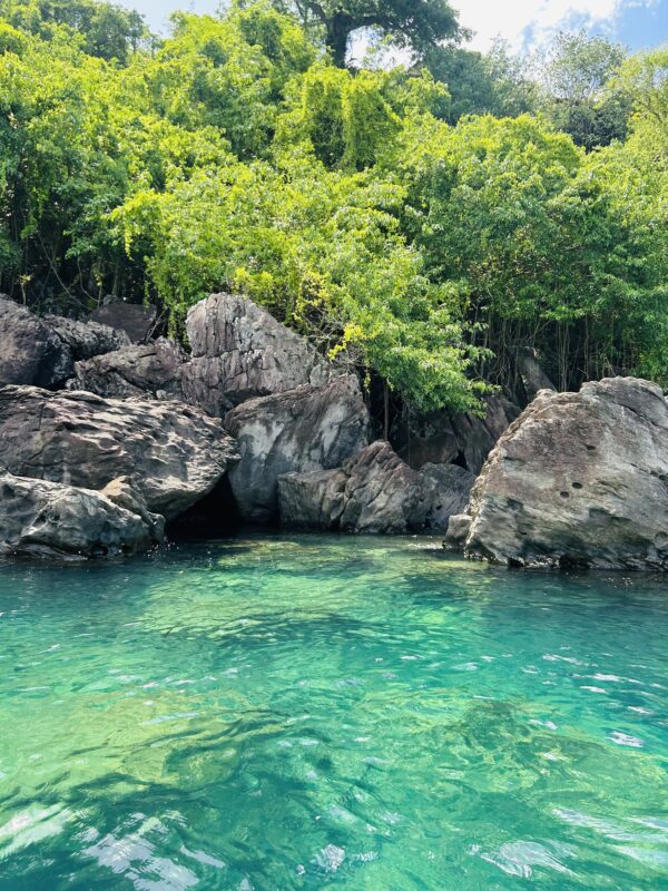 Dugout canoe trip in Martinique - Image 5