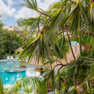 Piscine Pagerie