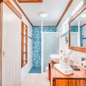 Salle d'eau Bungalow Standard (2)