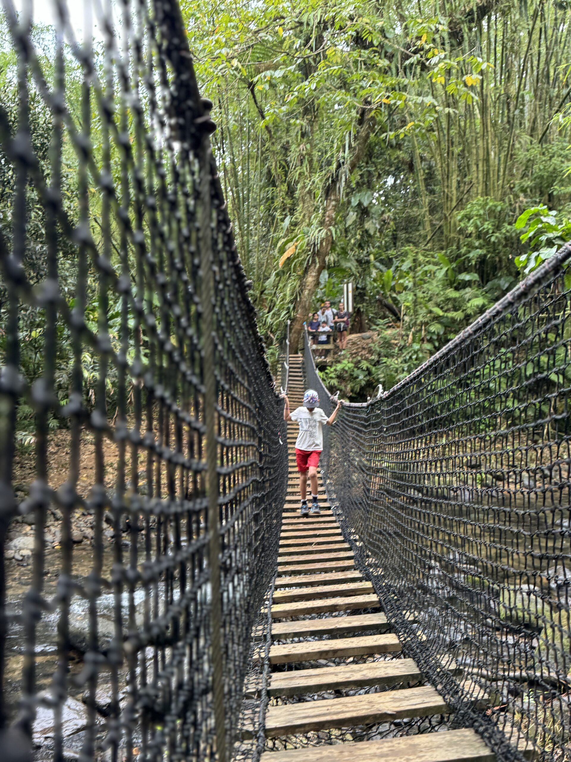 The Jesuits’ Trail: Martinique’s Iconic Hike - Image 2