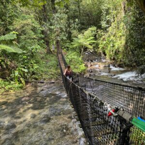 Jésuites Trail Hike