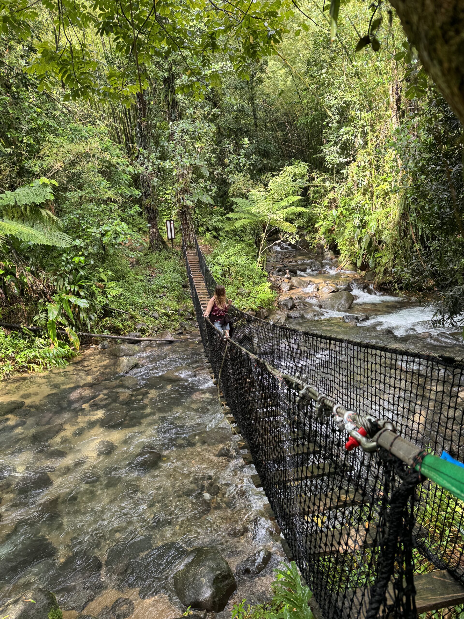 Jésuites Trail Hike