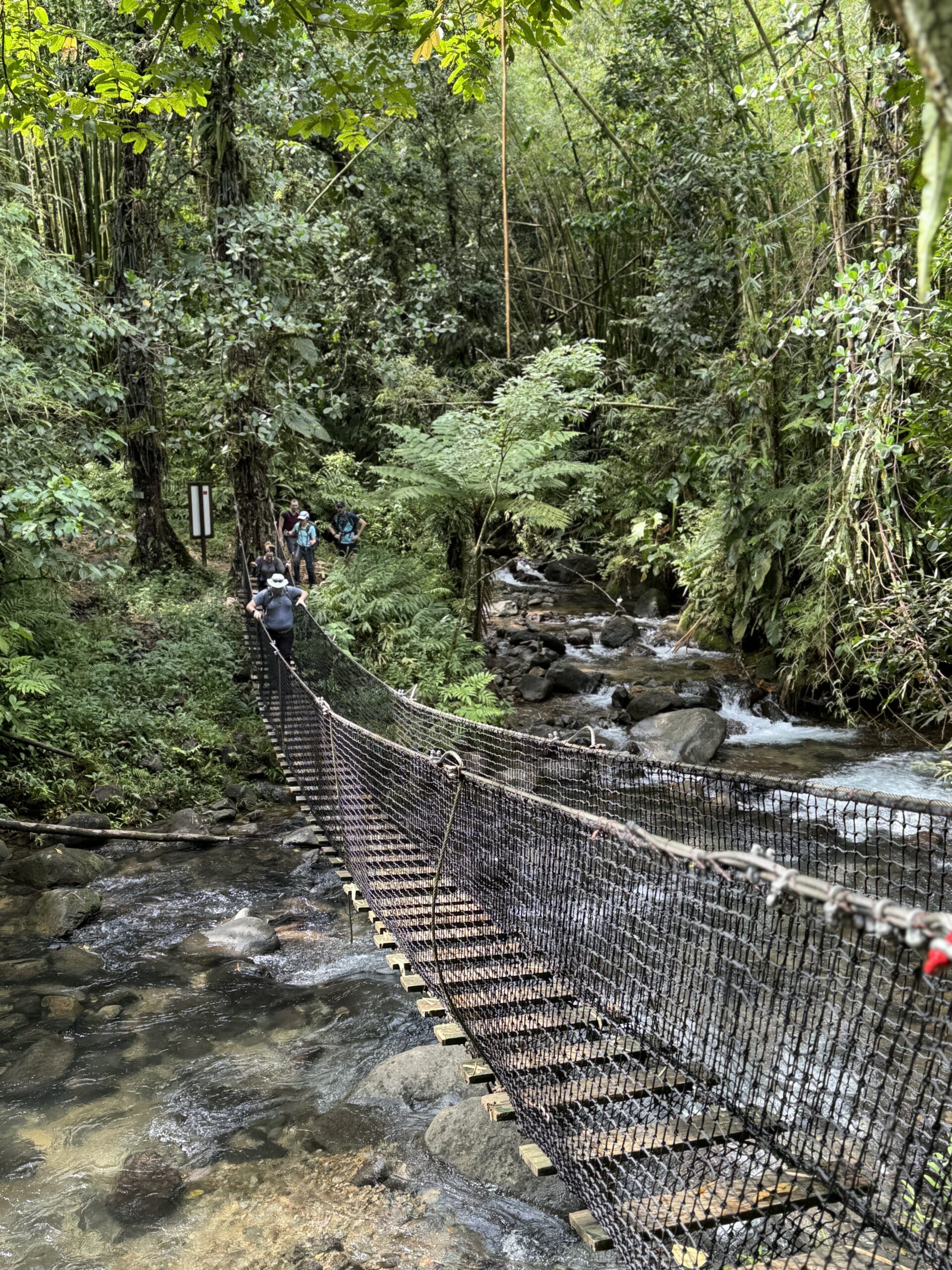 The Jesuits’ Trail: Martinique’s Iconic Hike - Image 3