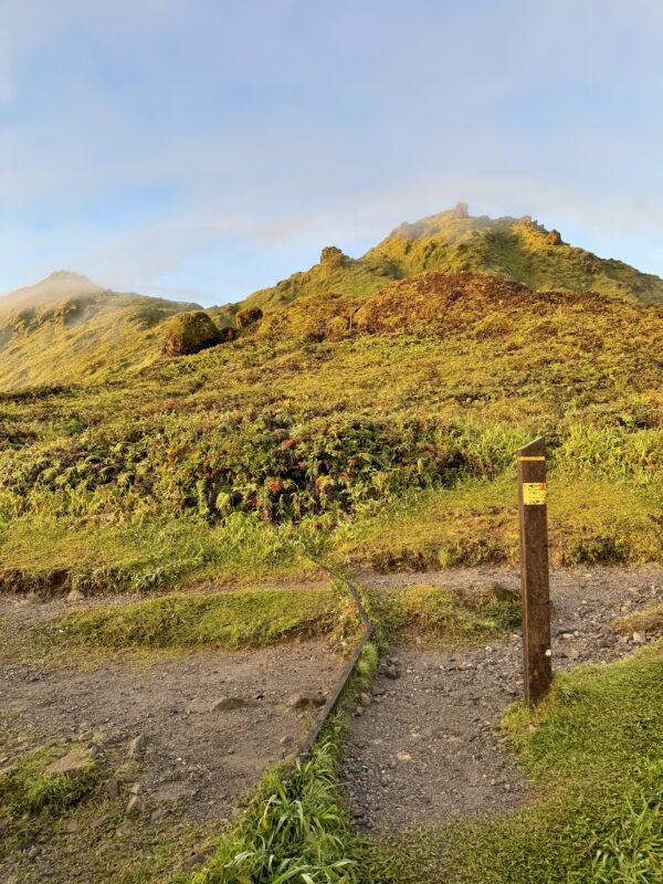 Hiking at Mount Pelée - Image 6