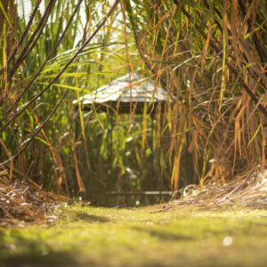 The Cannier Workshop with A1710