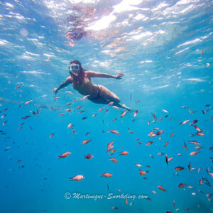 Boat trip in Le Marin: snorkelling and underwater exploration for all