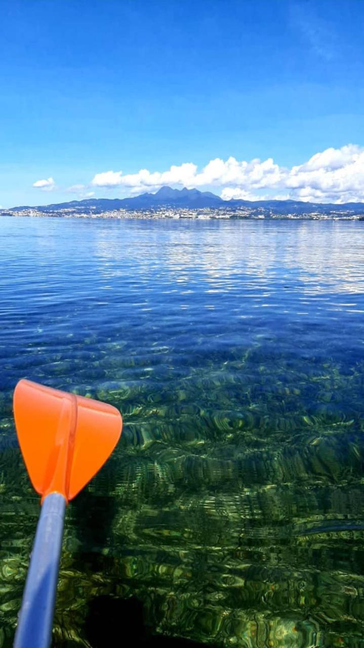 Kayak in the Mangrove of Trois-Îlets Martinique at Your Own Pace - Image 3