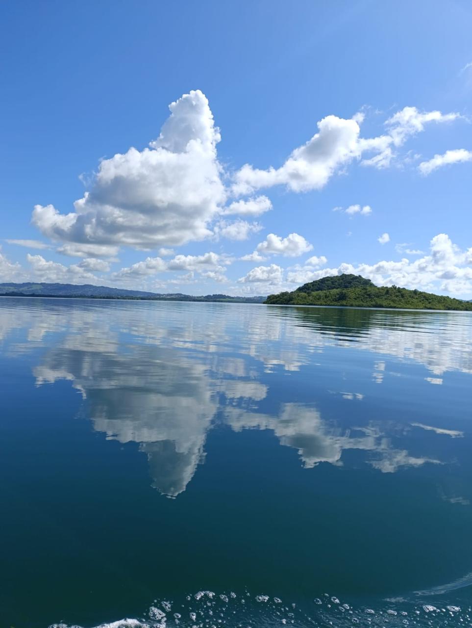 Kayak in the Mangrove of Trois-Îlets Martinique at Your Own Pace - Image 8