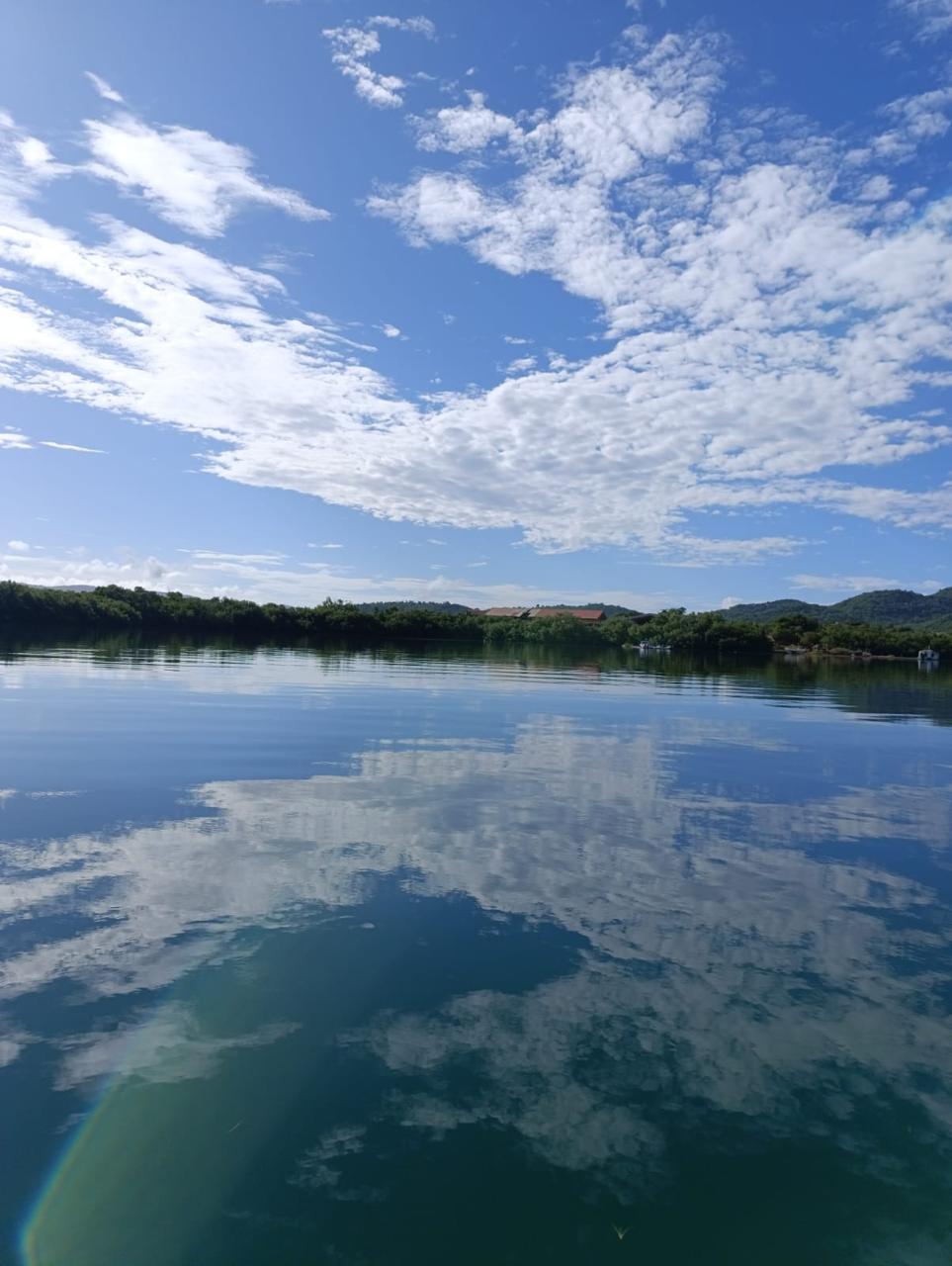 Kayak in the Mangrove of Trois-Îlets Martinique at Your Own Pace - Image 11