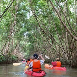 Kayak Martinique