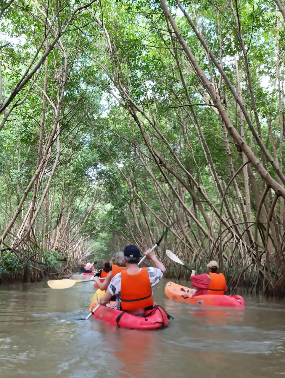 Kayak Martinique