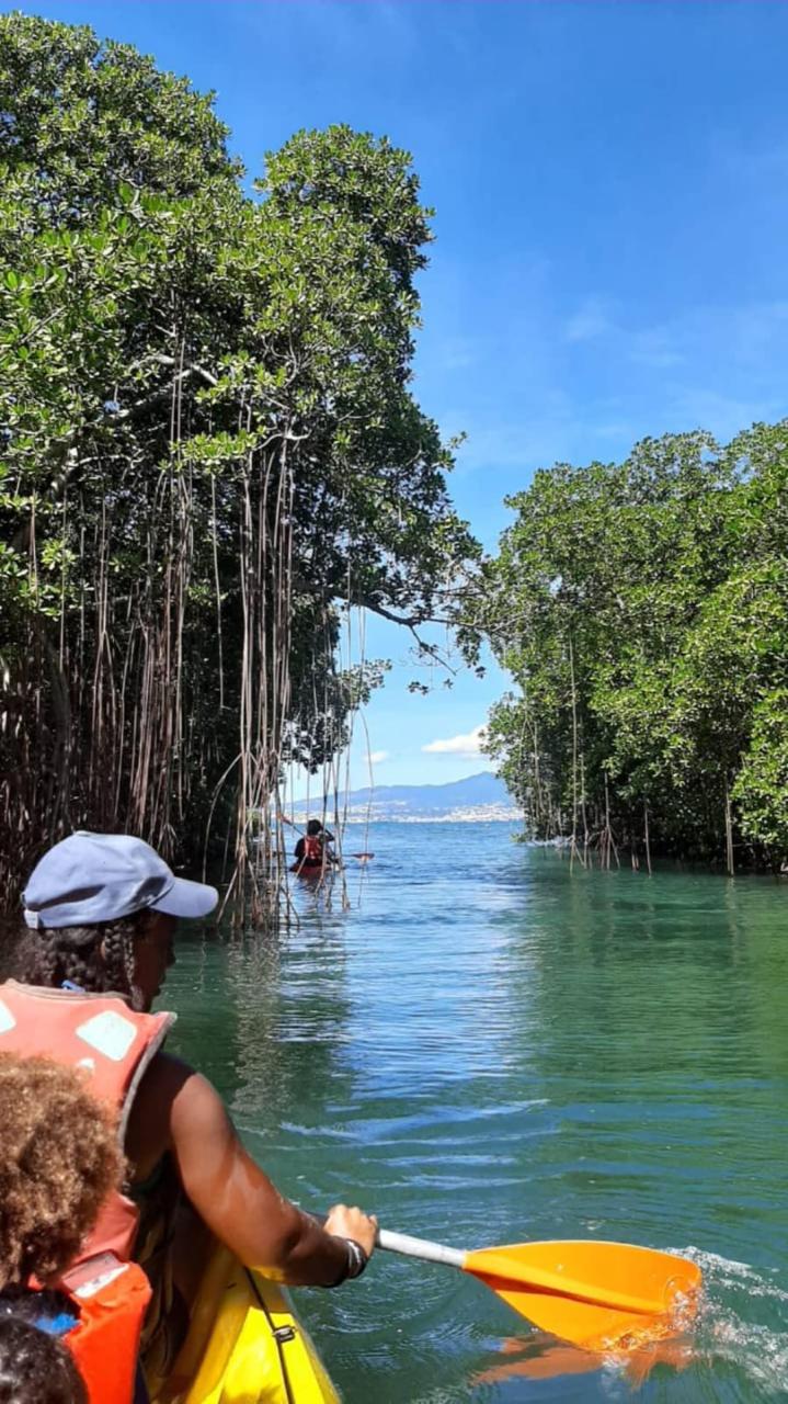 Kayak in the Mangrove of Trois-Îlets Martinique at Your Own Pace - Image 5